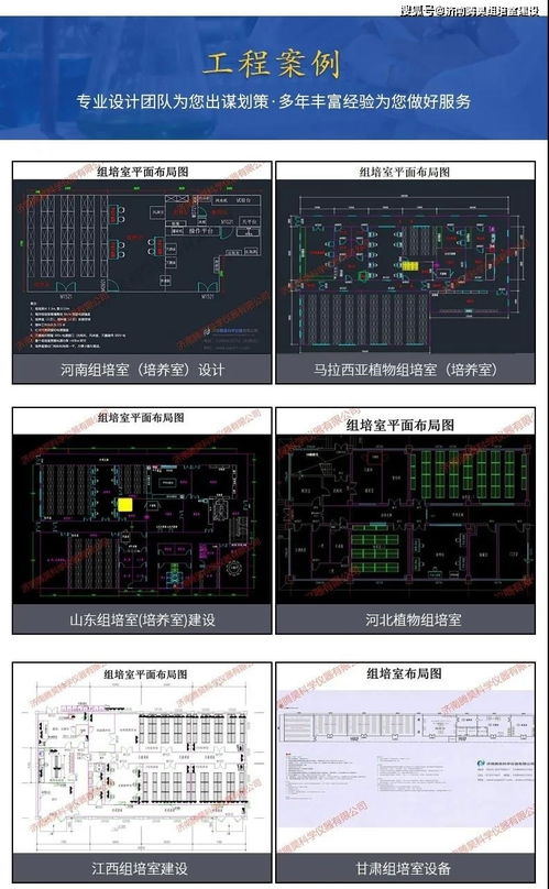 河北紅薯與甘薯組培室設(shè)計(jì)圖、設(shè)備配置及計(jì)算機(jī)軟硬件輔助方案